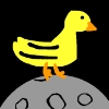 Ducks Live on the Moon